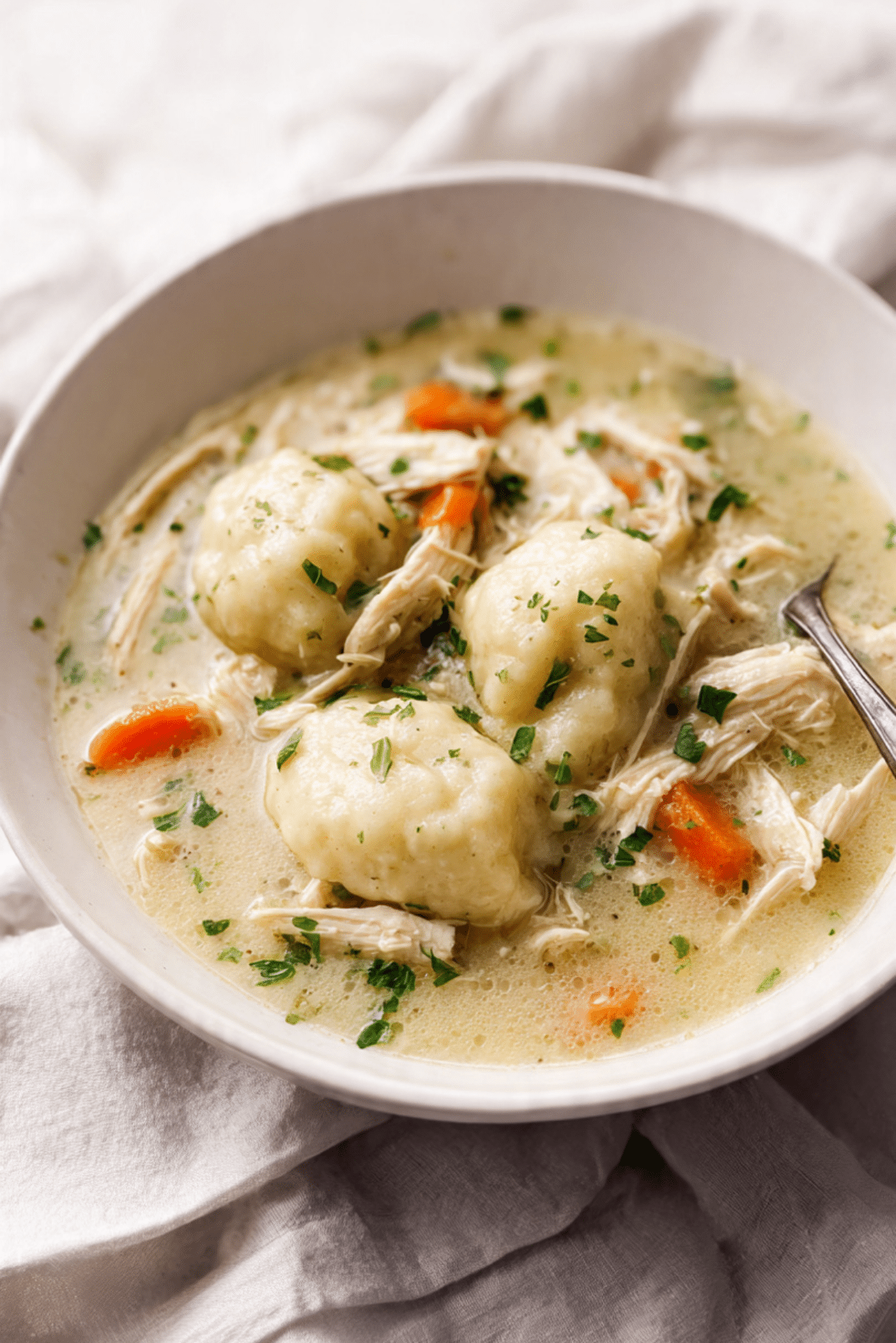 Crock Pot Chicken and Dumplings
